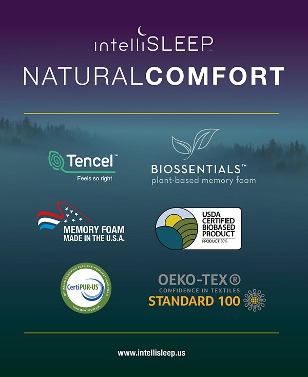 Natural Comfort Traditional Memory Foam Pillow, Queen