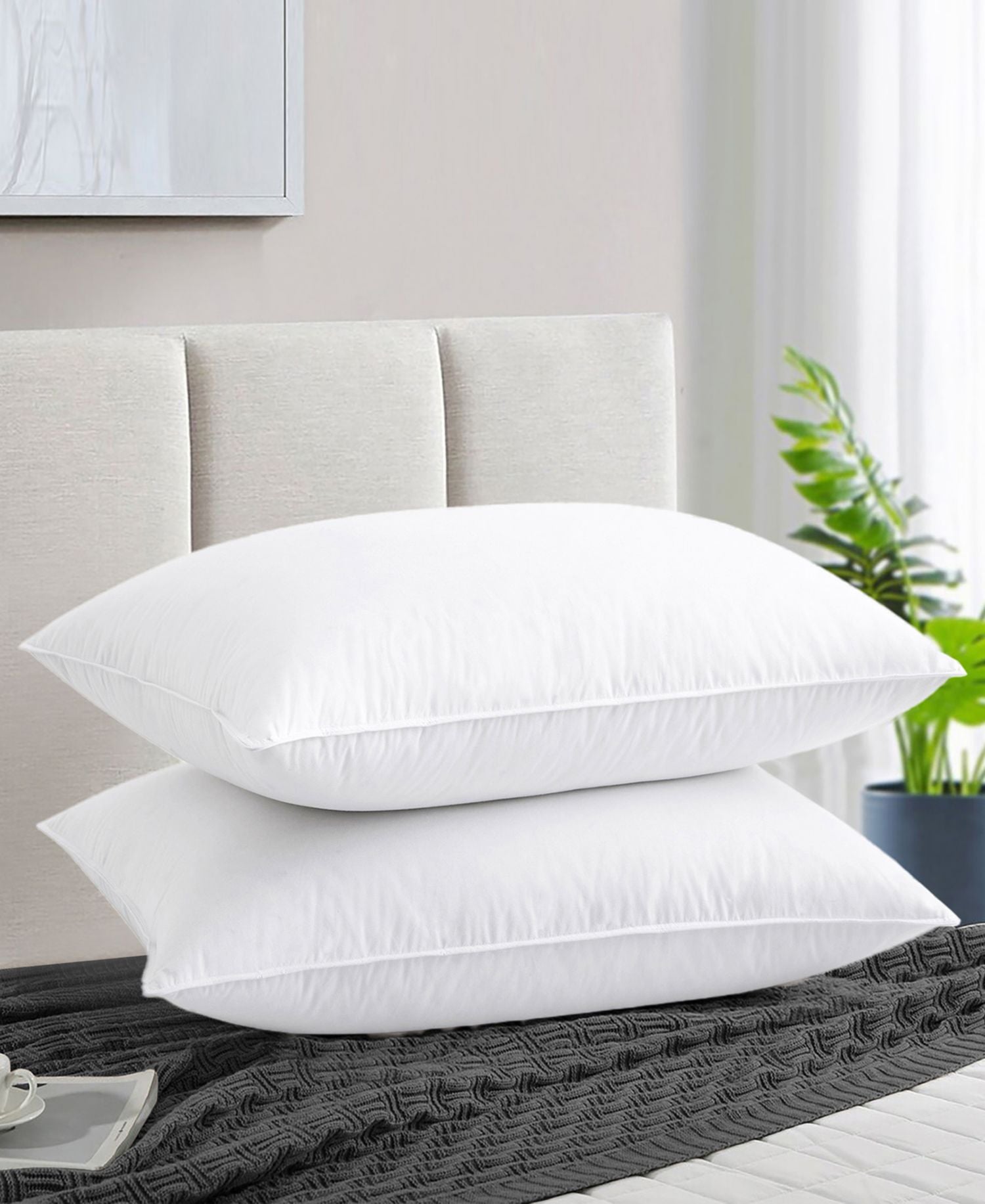 Goose Down and Feather 2-Pack Pillow, King