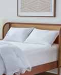 Traditional 2-Pack Pillows, Standard